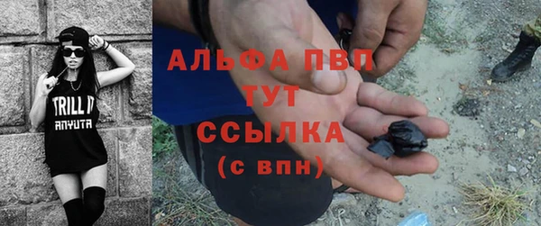 СК Белокуриха