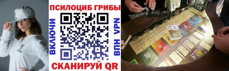 Купить где  Выборг  Псилоцибиновые грибы мицелий 